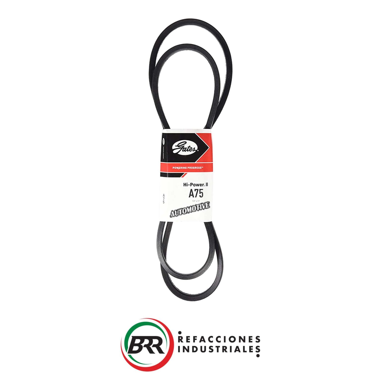 Banda De Transmisión Gates BX81 BRR Binasa